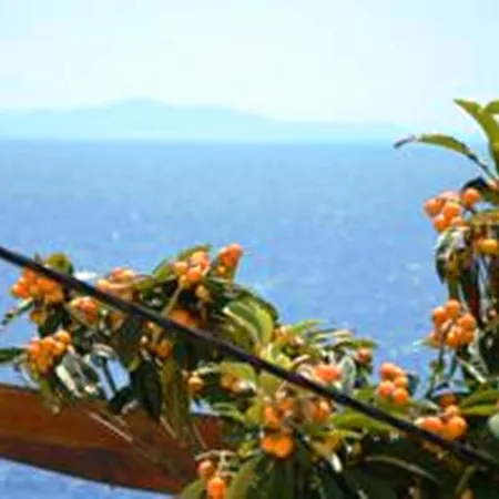 Punta Milna هفار