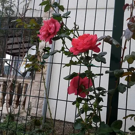 Lägenhet Punta Milna Hvar Town