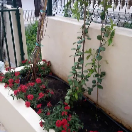 Apartament Punta Milna *