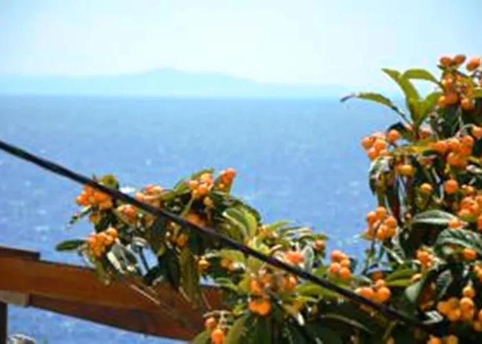 Punta Milna Hvar Town