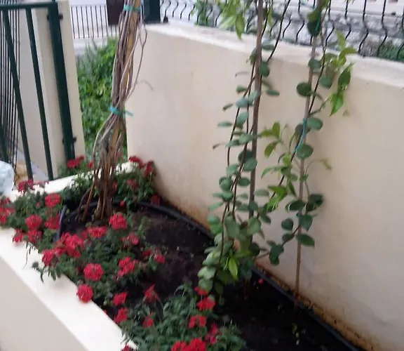 Apartment Punta Milna *