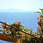 Punta Milna חוואר