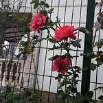 דירה Punta Milna חוואר
