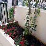 דירה Punta Milna *