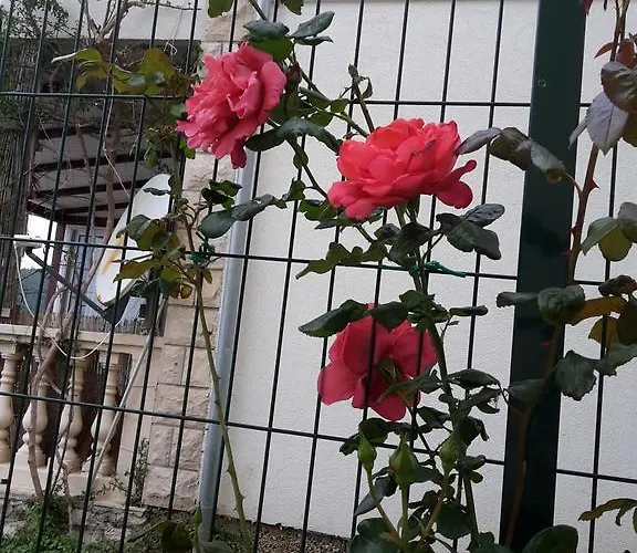 公寓 Punta Milna 赫瓦尔